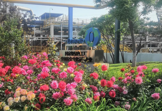 作為卡博特集團全球旗艦工廠和最大的綜合性生產基地，卡博特化工(天津)有限公司在環(huán)保、安全和運營方面取得了卓越的成績。除了被評為“全國安全文化建設示范企業(yè)”，該公司還榮獲了國家工信部頒發(fā)的“綠色工廠”稱號。