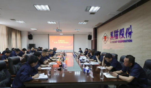 黑貓股份召開了基層黨建工作部署推進會，旨在進一步強化黨對公司及各單位發(fā)展的引領(lǐng)作用。黑貓股份黨委副書記、董事長、總經(jīng)理魏明以及黨政領(lǐng)導班子成員出席了會議，會議由公司黨委專職副書記周芝凝主持。