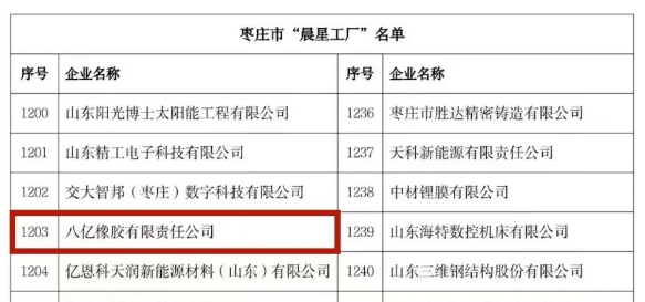 八億橡膠公司入選山東省“晨星工廠”入庫(kù)培育名單