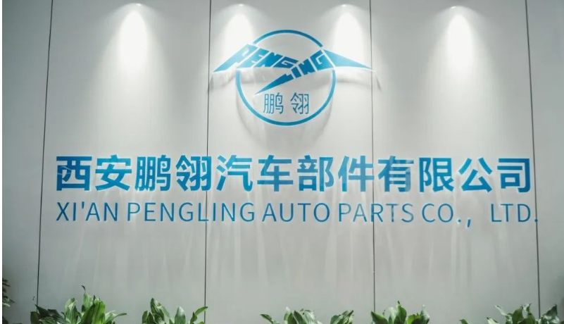 西安鵬翎工廠的成功投產(chǎn)標(biāo)志著鵬翎集團(tuán)化發(fā)展的重要里程碑。鵬翎集團(tuán)通過(guò)搭建"六地七廠"的近地化網(wǎng)絡(luò)覆蓋，成功構(gòu)建了從華北到華南、由華東至西北的生產(chǎn)網(wǎng)絡(luò)和服務(wù)網(wǎng)絡(luò)，充分發(fā)揮了集團(tuán)的優(yōu)勢(shì)。