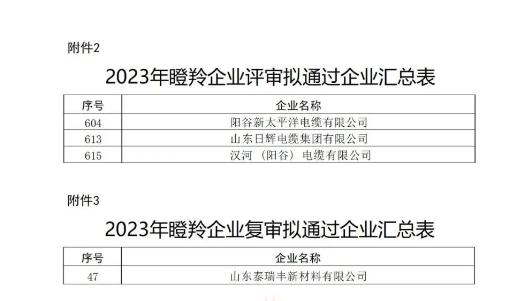 山東省工業(yè)和信息化廳在本次認(rèn)定工作中嚴(yán)格按照相關(guān)文件規(guī)定的程序和標(biāo)準(zhǔn)進(jìn)行評選，充分尊重市場主體自愿申報(bào)的原則，注重專家評審和第三方信用評級的公正性與權(quán)威性，確保了認(rèn)定結(jié)果的準(zhǔn)確性和公信力。