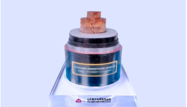 展望未來，泰開電纜表示將繼續(xù)發(fā)揮科研平臺在關(guān)鍵技術(shù)攻關(guān)、科技成果轉(zhuǎn)化、創(chuàng)新人才培養(yǎng)、產(chǎn)學研協(xié)同發(fā)展等方面的重要作用，力爭實現(xiàn)新產(chǎn)品、新技術(shù)、新工藝方面的再突破，助力行業(yè)和產(chǎn)業(yè)鏈的協(xié)同發(fā)展!