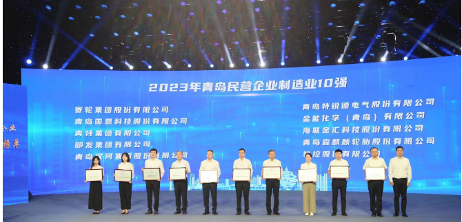 依托青島科技大學(xué)的支持，賽輪集團(tuán)憑借其內(nèi)在的科技創(chuàng)新基因脫穎而出。成立20余年來(lái)，該集團(tuán)始終秉持著“做一條優(yōu)質(zhì)輪胎”的使命，緊緊抓住自主創(chuàng)新這一引擎，聯(lián)合國(guó)家橡膠與輪胎工程技術(shù)研究中心，全力攻克一系列核心技術(shù)難題。不僅成功研發(fā)出世界最大尺寸的63吋巨型工程子午胎，還發(fā)布了全球首個(gè)投入使用的橡膠工業(yè)互聯(lián)網(wǎng)平臺(tái)——“橡鏈云”。此外，其還運(yùn)用全球首創(chuàng)的化學(xué)煉膠技術(shù)，成功研發(fā)出新一代輪胎產(chǎn)品，被譽(yù)為“液體黃金”輪胎。這一產(chǎn)品不僅在耐磨方面實(shí)現(xiàn)突破，還在節(jié)能、舒適性和制動(dòng)距離等方面做出了顯著貢獻(xiàn)，解決了業(yè)界長(zhǎng)期面臨的“魔鬼三角”難題。