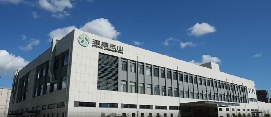 值得注意的是，這一項(xiàng)目的取得并非一蹴而就，而是基于浦林成山公司近年來(lái)在工業(yè)互聯(lián)網(wǎng)領(lǐng)域不斷積累的經(jīng)驗(yàn)。在“工廠智能化管理駕駛艙項(xiàng)目”中，公司通過(guò)全面收集和分析生產(chǎn)數(shù)據(jù)，實(shí)現(xiàn)了生產(chǎn)過(guò)程的實(shí)時(shí)預(yù)警和問(wèn)題追溯，確保了輪胎產(chǎn)品質(zhì)量的一致性。