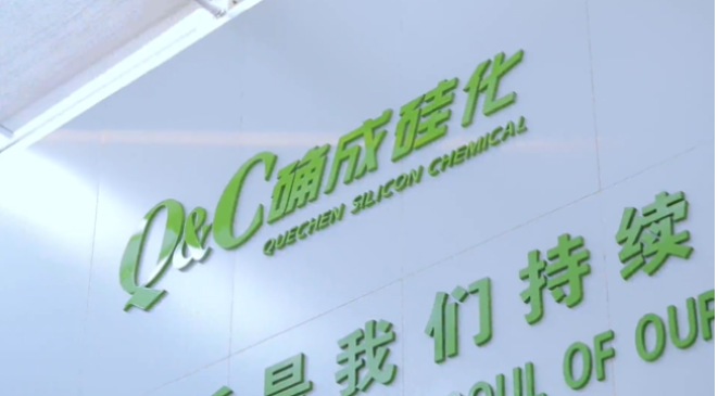 確成硅化學(xué)股份有限公司自成立至今，專注于沉淀法二氧化硅產(chǎn)品的研發(fā)、制造和銷售，經(jīng)過(guò)20年的發(fā)展，已經(jīng)成為全球主要的二氧化硅產(chǎn)品專業(yè)制造商之一。確成股份擁有從原材料硫酸、硅酸鈉到最終產(chǎn)品二氧化硅的制造產(chǎn)業(yè)鏈，產(chǎn)品主要市場(chǎng)聚焦在橡膠工業(yè)領(lǐng)域的高性能子午線綠色輪胎配套專用材料以及動(dòng)物營(yíng)養(yǎng)品領(lǐng)域的動(dòng)物飼料載體用二氧化硅。此外，確成股份在國(guó)內(nèi)外擁有多個(gè)生產(chǎn)基地，總產(chǎn)能位列世界第三位，主要客戶包括國(guó)際知名輪胎和動(dòng)物營(yíng)養(yǎng)品公司。