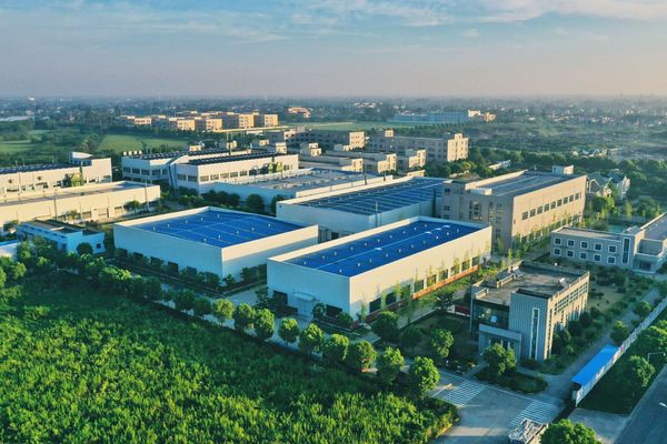 在報(bào)告期內(nèi)，永利股份繼續(xù)堅(jiān)持全球產(chǎn)業(yè)布局的戰(zhàn)略，鞏固并拓展了海外市場(chǎng)，以中國作為總部，積極擴(kuò)展了海外的生產(chǎn)、銷售和研發(fā)服務(wù)網(wǎng)絡(luò)，以更好地滿足客戶的需求。同時(shí)，永利股份不斷推進(jìn)數(shù)字化建設(shè)，通過信息化工具提高了綜合管理水平，以確保業(yè)務(wù)的持續(xù)發(fā)展。