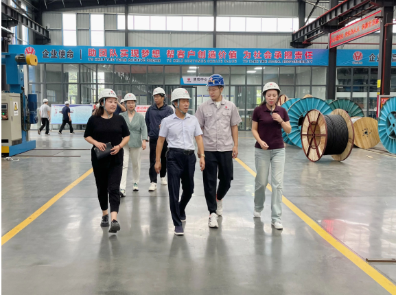 華東電纜表示下半年將集中精力提高產(chǎn)品質(zhì)量，強(qiáng)化風(fēng)險(xiǎn)防控，積極應(yīng)對(duì)市場(chǎng)訂單，全力以赴，確保完成全年經(jīng)營(yíng)發(fā)展目標(biāo)任務(wù)，進(jìn)一步推動(dòng)經(jīng)濟(jì)實(shí)現(xiàn)有效提升和合理增長(zhǎng)。