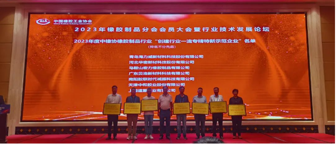 在行業(yè)技術(shù)論壇上，貝洛新材發(fā)展中心總監(jiān)姚芳偉發(fā)表了題為《廚衛(wèi)電器核心密封件的國產(chǎn)替代之路》的主題演講。他回顧了廚衛(wèi)電器密封件行業(yè)的發(fā)展歷程，深入分析了國內(nèi)外產(chǎn)品的差異與發(fā)展趨勢。姚芳偉的演講為國產(chǎn)化產(chǎn)品的發(fā)展貢獻(xiàn)了重要思路與方向。