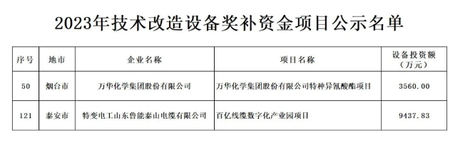 根據(jù)山東省政府《關(guān)于印發(fā)2023年“穩(wěn)中向好、進(jìn)中提質(zhì)”政策清單(第一批)的通知》(魯政發(fā)〔2022〕18號(hào))以及《關(guān)于組織申報(bào)2023年技術(shù)改造設(shè)備獎(jiǎng)補(bǔ)資金項(xiàng)目的通知》(魯工信規(guī)〔2023〕109號(hào))的要求，山東省工業(yè)和信息化廳積極組織并展開(kāi)了2023年技術(shù)改造設(shè)備獎(jiǎng)補(bǔ)資金項(xiàng)目評(píng)審工作。在經(jīng)歷了企業(yè)申報(bào)、各市推薦、財(cái)務(wù)審核、專(zhuān)家評(píng)審、部門(mén)核查等多個(gè)環(huán)節(jié)后，最終擬定了包含216個(gè)項(xiàng)目的2023年技術(shù)改造設(shè)備獎(jiǎng)補(bǔ)資金項(xiàng)目名單。