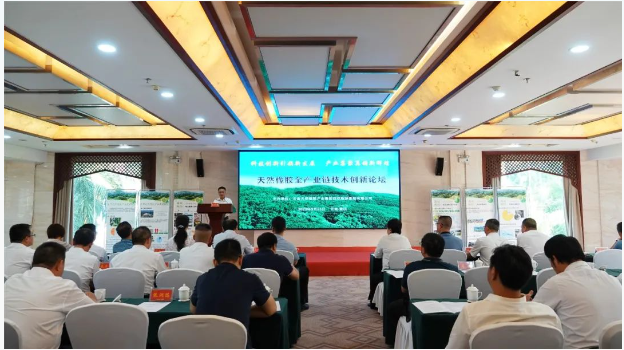 在揭牌儀式上，與會專家、州工信局相關(guān)負(fù)責(zé)人、云膠集團(tuán)和景陽公司的領(lǐng)導(dǎo)聯(lián)合為工作站揭牌。郭勝惠專家基層科研工作站是云南省人力資源和社會保障廳批準(zhǔn)的科研平臺，經(jīng)過精心篩選和建設(shè)，將在景陽公司的支持下專注于天然橡膠產(chǎn)業(yè)鏈的技術(shù)創(chuàng)新，強(qiáng)化產(chǎn)學(xué)研融合，推動技術(shù)創(chuàng)新體系的建設(shè)，助力橡膠全產(chǎn)業(yè)鏈科技創(chuàng)新，為西雙版納州的橡膠產(chǎn)業(yè)提供有力支持。