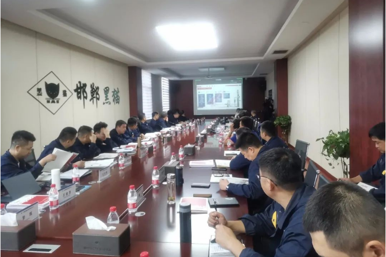 在交流培訓(xùn)會(huì)上，德固特詳細(xì)介紹了他們的高溫空氣預(yù)熱器、急冷鍋爐、余熱鍋爐、吹灰器、轉(zhuǎn)筒干燥機(jī)、造粒機(jī)等主要設(shè)備，并分享了撬裝式炭黑節(jié)能生產(chǎn)線(xiàn)、模塊化尾氣余熱回收系統(tǒng)、間接換熱干燥系統(tǒng)急節(jié)能型火箱等新技術(shù)。會(huì)后，德固特的負(fù)責(zé)人為參會(huì)者提供了各種設(shè)備的安裝、使用、維護(hù)和檢修要點(diǎn)，以便于各基地今后規(guī)范操作和設(shè)備的使用。