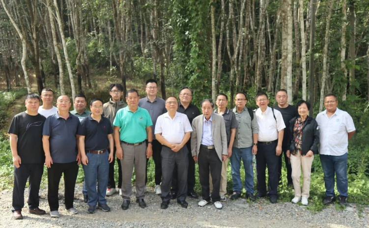 通過這次活動(dòng)，與會(huì)單位收獲頗豐。首先是增強(qiáng)了大家的自信并認(rèn)清了合作的重要性。而后項(xiàng)目完成推廣，對(duì)實(shí)現(xiàn)年減少二氧化碳排放量約219萬噸、國家碳中和戰(zhàn)略具有重大作用。最后也希望得到國家相關(guān)部門的關(guān)注和支持。