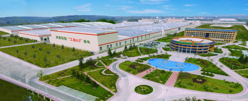 雙星目前正以新戰(zhàn)略邁向未來，圍繞橡膠輪胎、人工智能及高端裝備、綠色生態(tài)循環(huán)利用這三大主業(yè)，積極實施生態(tài)化、高新化、當(dāng)?shù)鼗?、?shù)智化的“新四化”戰(zhàn)略，為成為可持續(xù)發(fā)展的世界一流企業(yè)而努力。