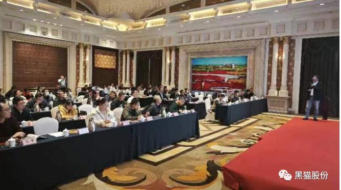 各參會嘉賓齊聚一堂，會場氣氛熱烈，會談內(nèi)容豐富。通過本次推介會，黑貓股份與參會企業(yè)之間的距離得以拉近，工作思路也得以拓寬，為公司未來的高質(zhì)量蓬勃發(fā)展奠定了堅實(shí)基礎(chǔ)。