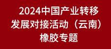 2024中國產(chǎn)業(yè)轉(zhuǎn)移發(fā)展對接活動（云南）橡膠專題