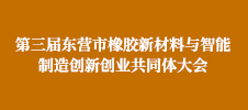 第三屆東營市橡膠新材料與智能制造創(chuàng)新創(chuàng)業(yè)共同體大會