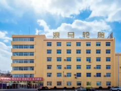 浪馬輪胎，改制與海外布局雙突破！